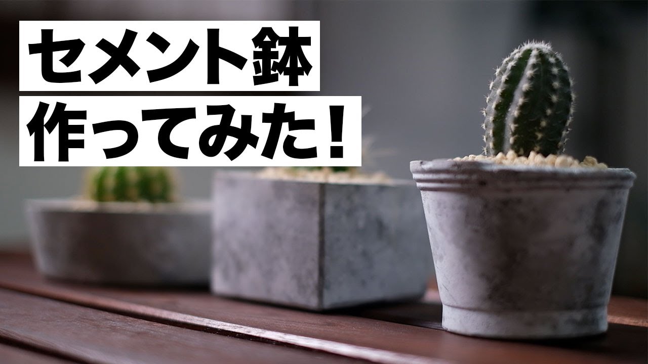 【オリジナル】モルタル（セメント）鉢を作って１００均のサボテンを植え込んでみた！【DIY】