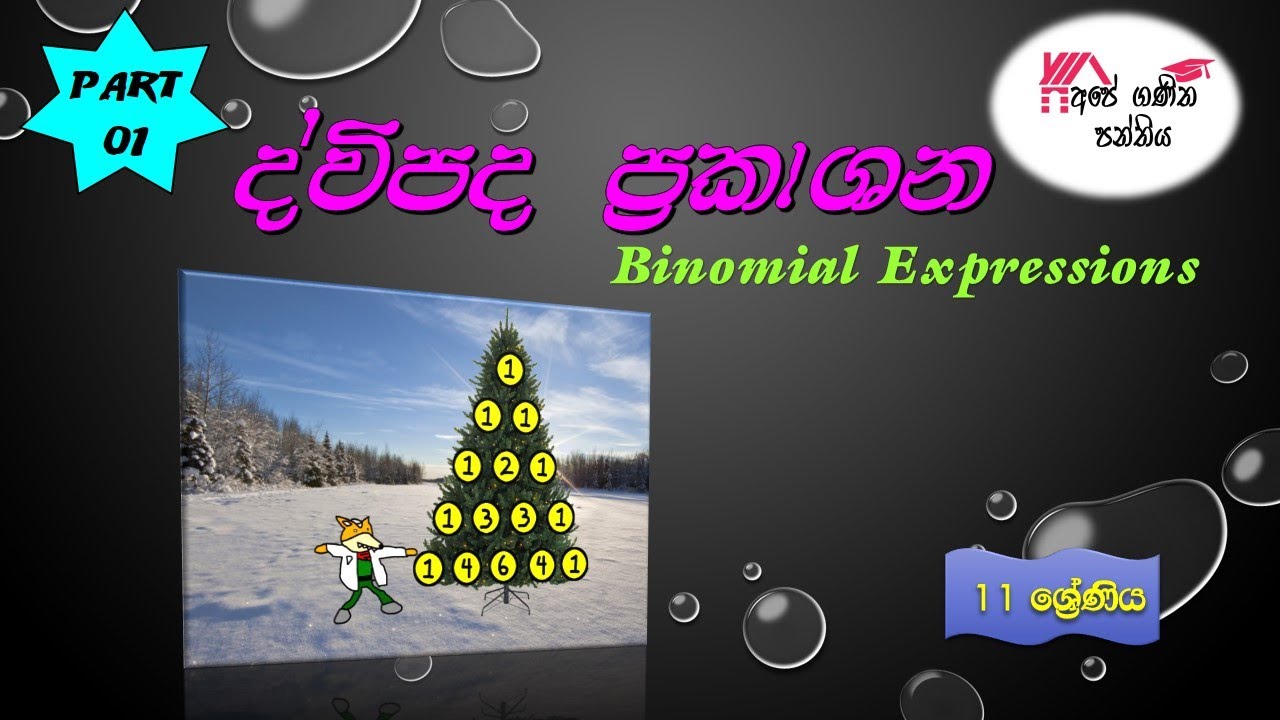 Grade 11 binomial Expressions - 11 wasara divipada prakashana part 1