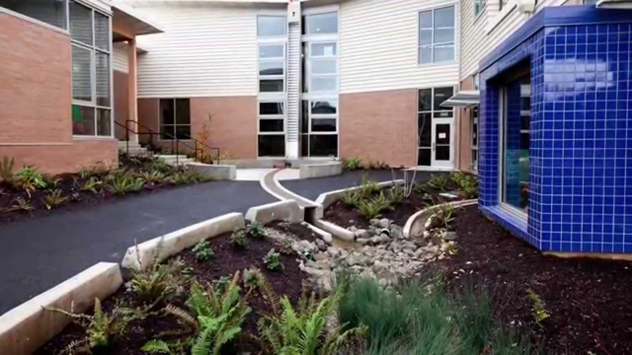 Trillium Creek Primary School