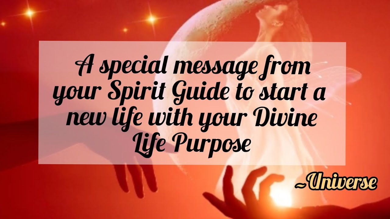 Your twinflame has entered your space // Message From Universe 🌈🦋❤️