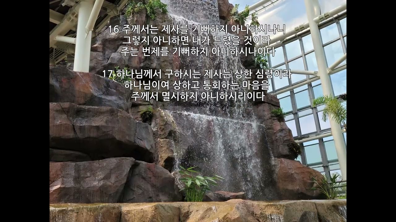 시편 51편, 시편 52편#성경말씀 #성경읽기 # 나는 하나님의 집에 있는 푸른 감람나무 같음이여