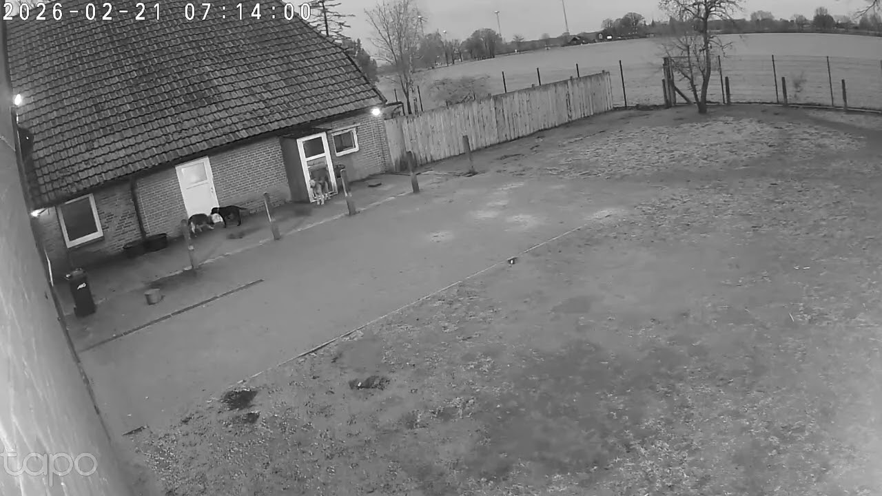 Hundeschule Wolf und Co am 21.Februar.2026 #hundepension #hundeschule #hundefutter