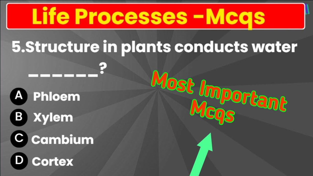 life processes class 10 mcq | MCQ Questions for Class 10 Science Life Process with Answers