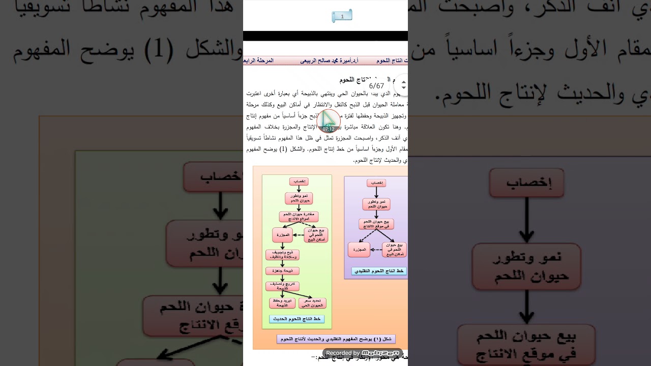 المحاضرة الأولى إنتاج اللحوم