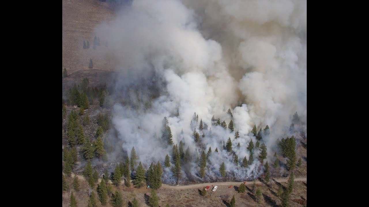 Randy Harris: Restoring Grasslands in the Rocky Mountain Trench