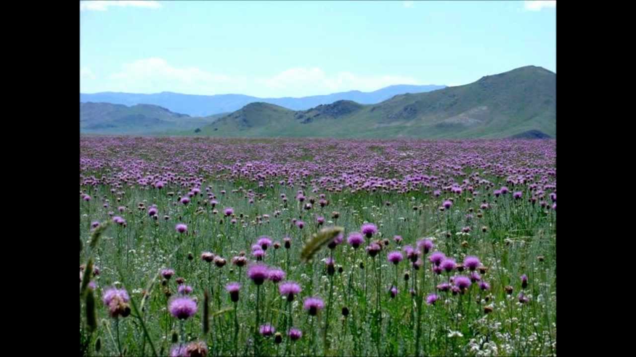 B.Boldbaatar, M.Otgongerel - Togoruutai nuur