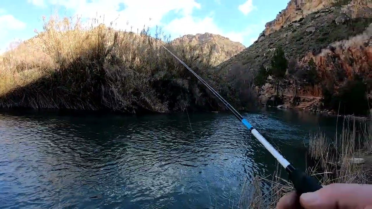 Pesca la turcha en rio Segura. Рыбалка в Испании,ловим форель в реке Сегура.