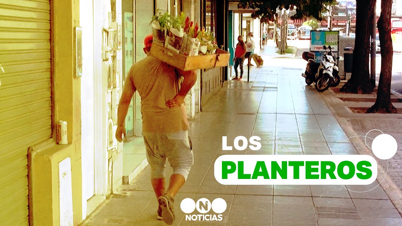 RECORREN CALLES para VENDER PLANTAS y PODER MANTENER a su FAMILIA - Telefe Noticias