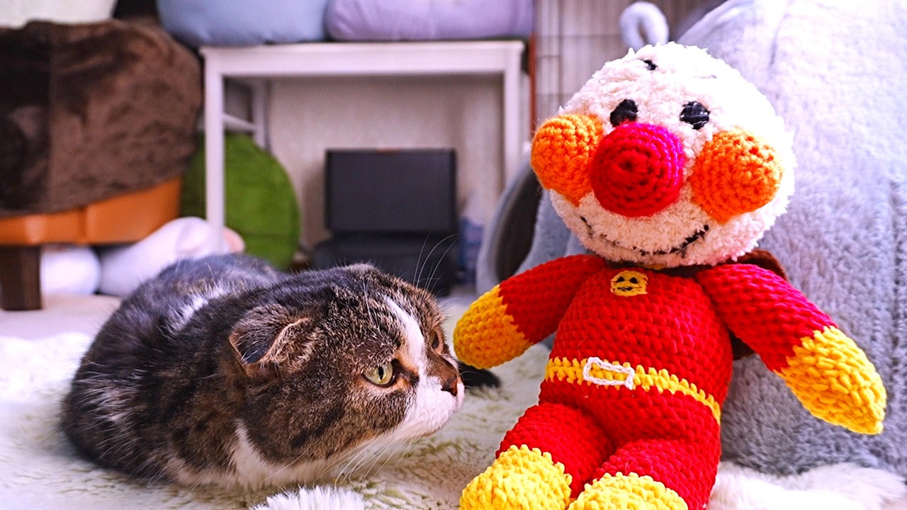 百均毛糸でアンパンマンのあみぐるみを手編みしたら、撮影したデータが壊れてしまって大慌て！
