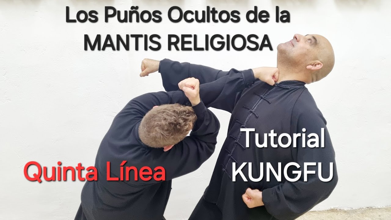 LOS ATAQUES OCULTOS DEL KUNGFU MANTIS RELIGIOSA#kungfu #wushu #tanglangquan