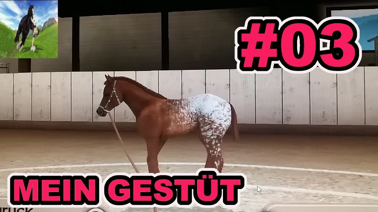 Mein Gestüt: Das erste Fohlentraining #03/let's Play