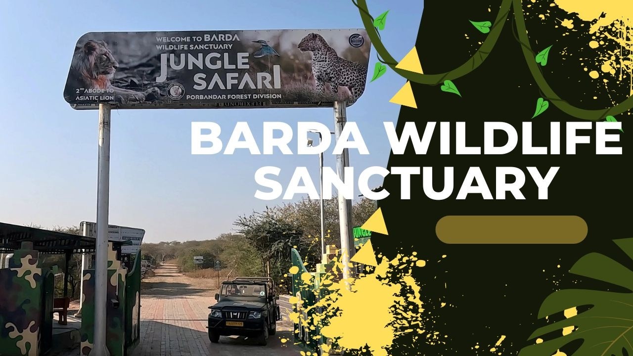 Barda Wildlife Sanctuary l 2nd Abode (Home) for Asiatic lions in Gujarat