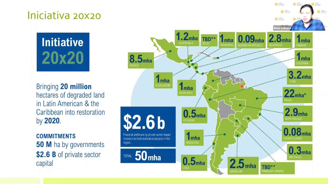 Rol de instrumentos de política e inversiones públicas en restauración de paisajes ante la pandemia