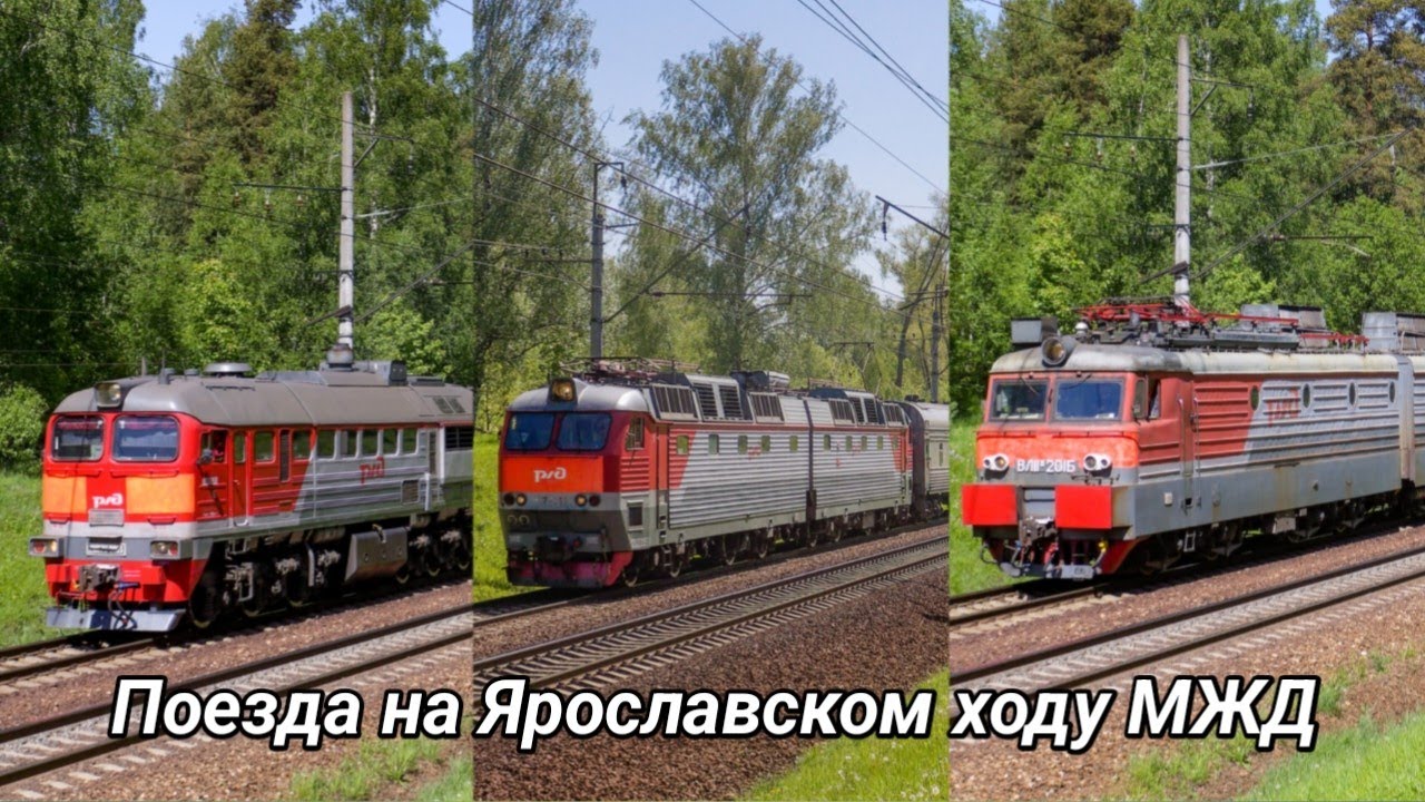 Поезда на Ярославском ходу Московской ЖД. Перегон Пушкино - Софрино.
