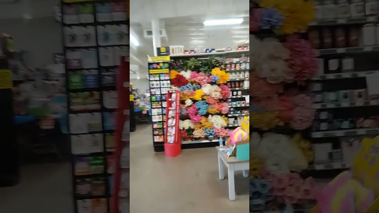 Dollar General Tour (Prentice, Wisconsin)