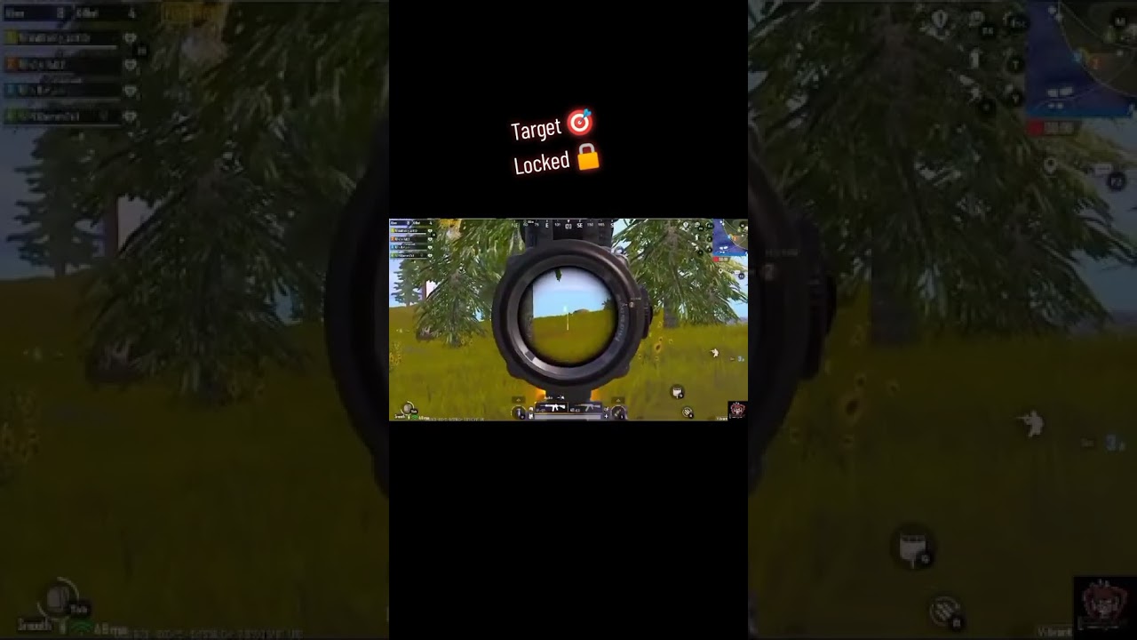 Target Locked, Subscribe for More... 