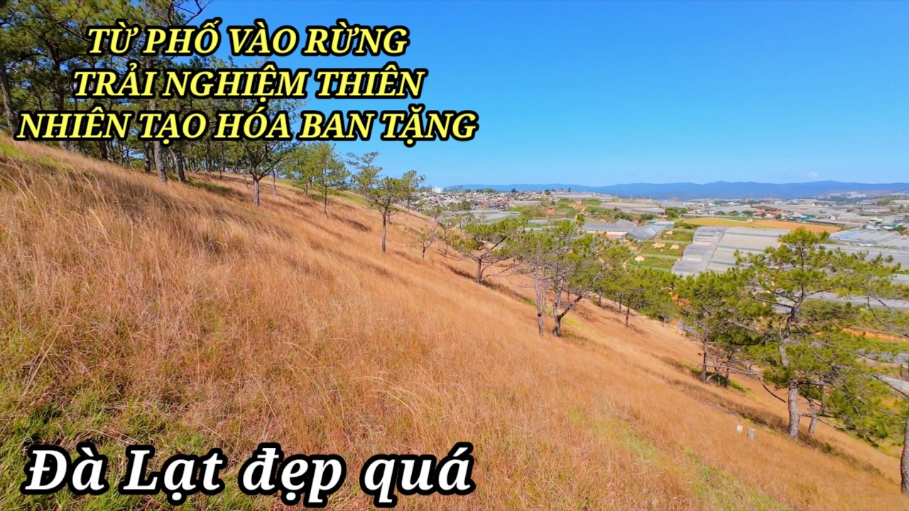 Đà Lạt đẹp quá, từ phố vào núi rừng trải nghiệm thiên nhiên tạo hóa ban tặng