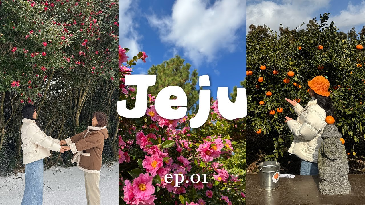 🇰🇷 제주 여행 Vlog ep.01 🩵 | 크리스마스 제주 3박 4일 | 한라산 도전부터 감귤체험까지🍊 | 렌트카,숙소,맛집 총정리
