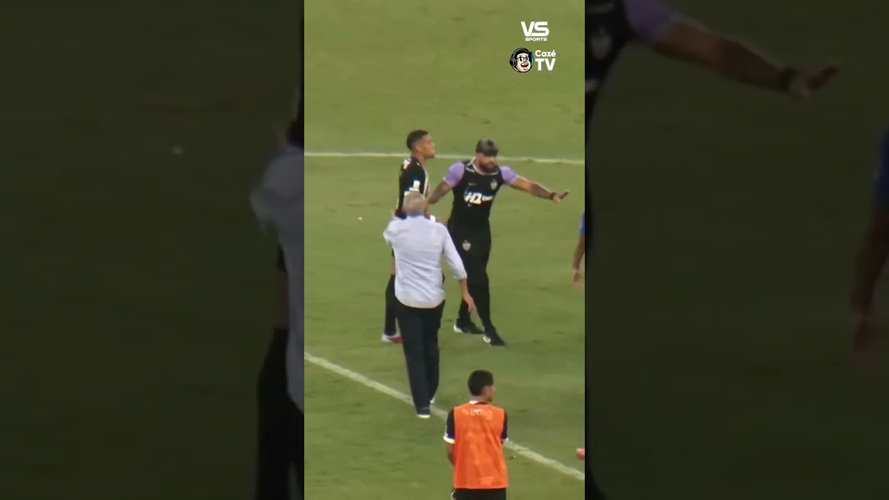  | ESCÁNDALO EN BRASIL 🍍|batalla campal entre los integrantes del Cruzeiro y el Atlético Mineiro.