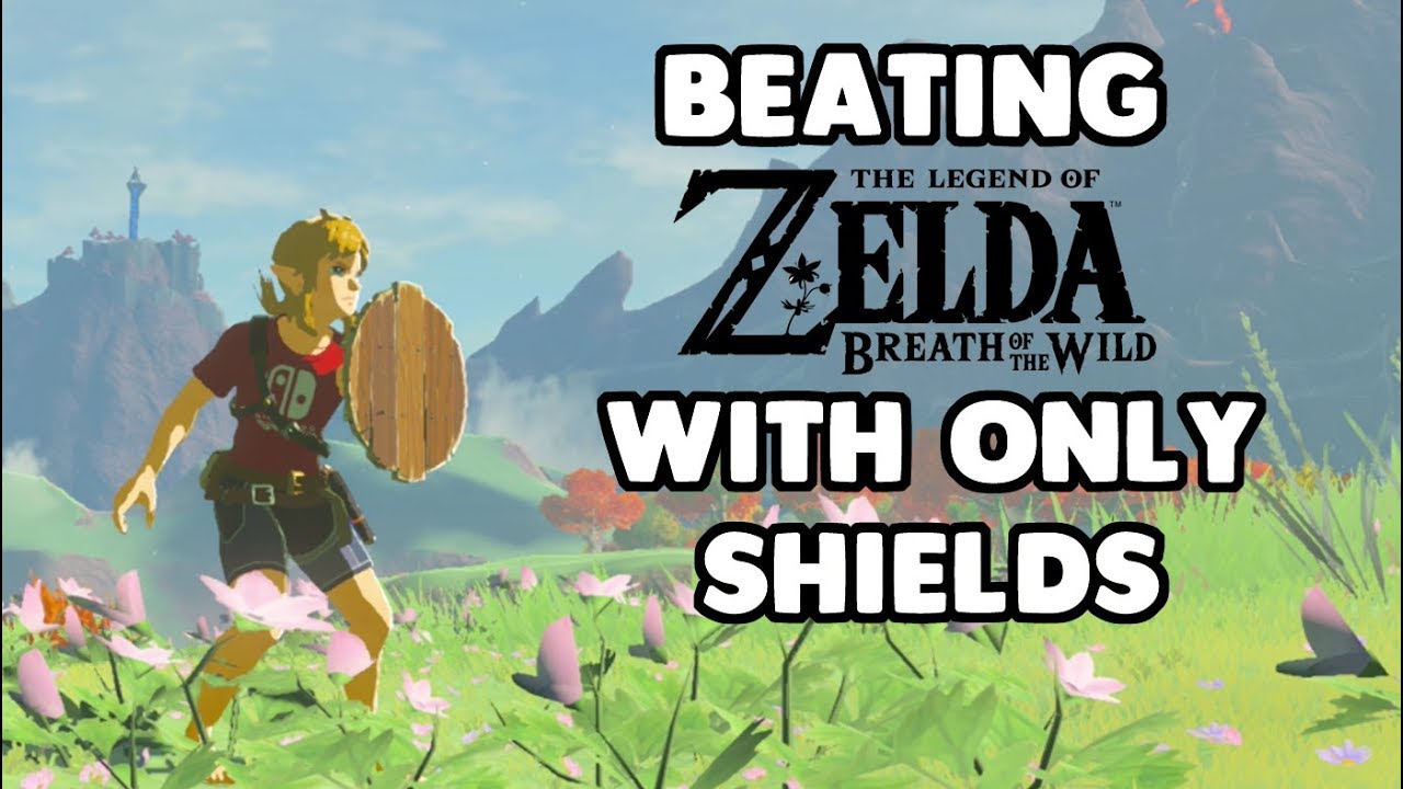 Can you beat Breath of the Wild with ONLY SHIELDS?