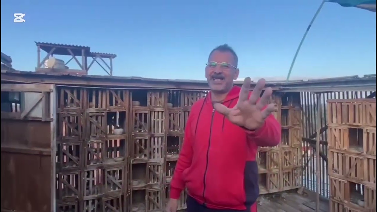 #اكتشف الغية