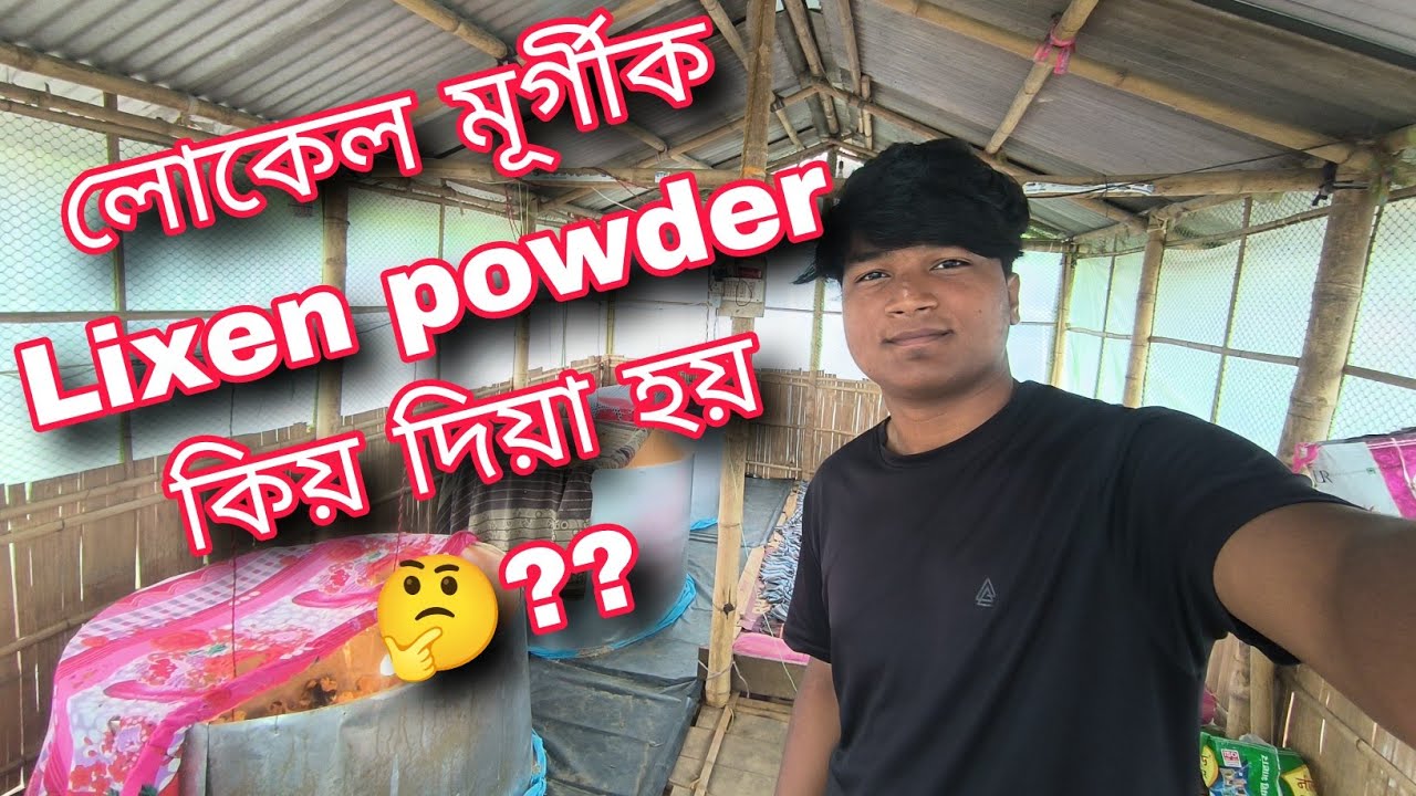 লোকেল মূৰ্গীক Lixen powder কিয় দিয়া হয় 🤔?? ll Traveller Aditya