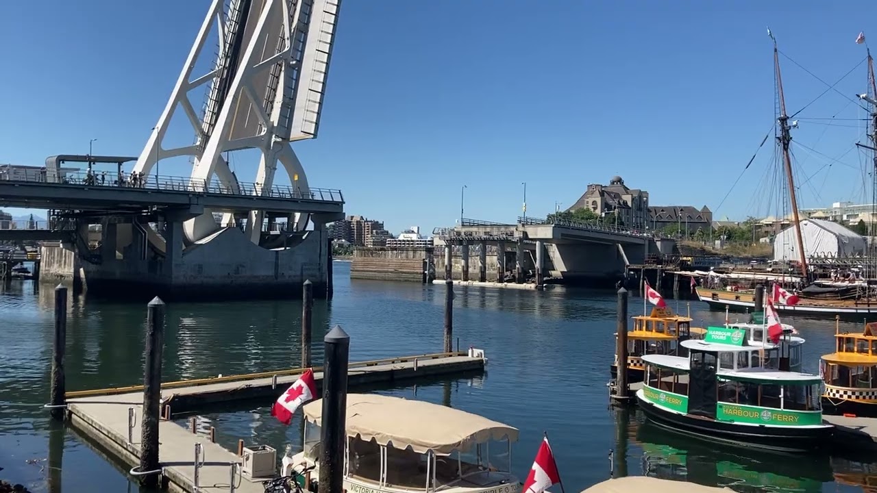 Pacific Swift and Pacific Grace arrive in Victoria Harbour, July 7, 2025