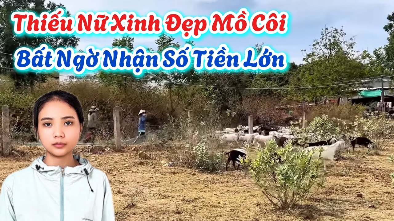 Bất Ngờ. Thiếu Nữ Xinh Đẹp Mồ Côi, Mẹ Mất, Cha Bỏ Rơi. Nhận SỐ TIỀN LỚN Từ MỸ. | 746
