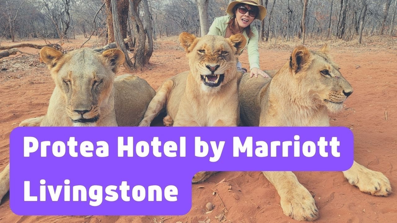 Protea Hotel by Marriott Livingstone | Zambia | Marriott Bonvoy | Hotel Review