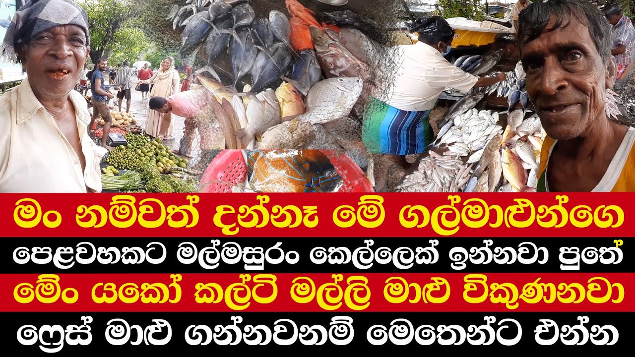මං නම්වත් දන්නෑ මේ ගල්මාළුන්ගෙ | පෙළවහට මල්මසුරං කෙල්ලෙක් ඉන්නවා පුතේ
