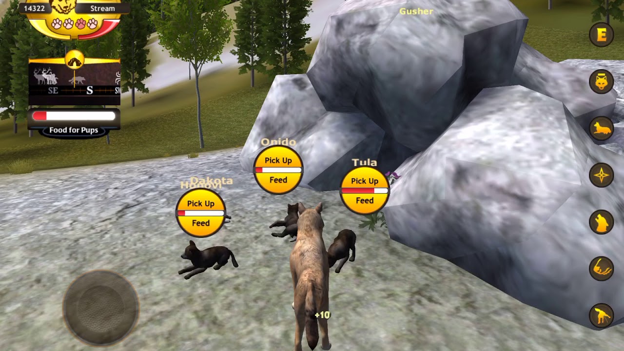 Wolfquest- how to defend pups from pesky coyotes!