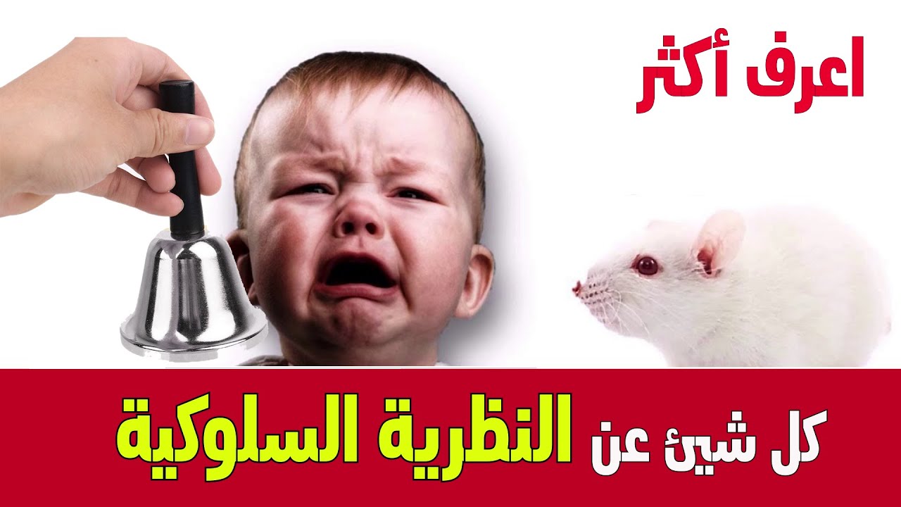 النظرية السلوكية :المثير والاستجابة في الاشراط الكلاسيكي، تجربة ألبرت، التعزيز في الإشراط الاجرائي