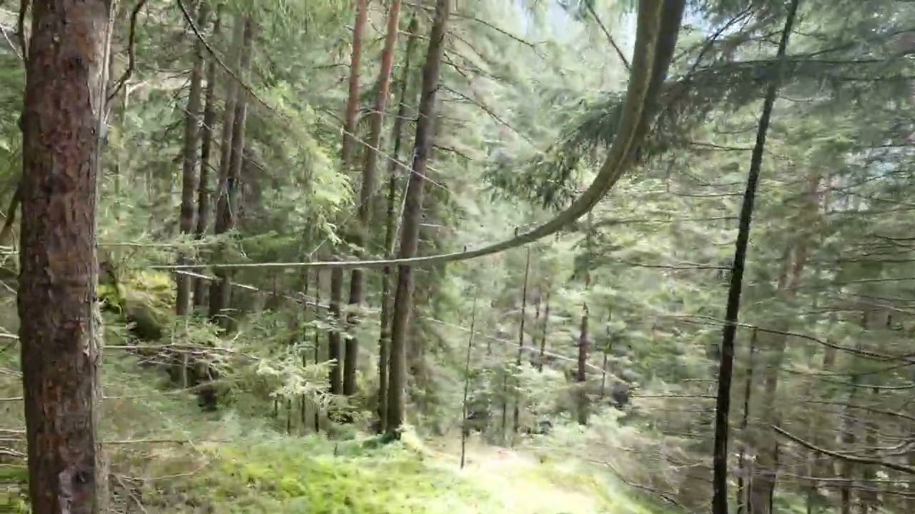 I miei 5 peggior minuti.......................La Fly-Line Wasserfall alle cascate Riva di Tures (BZ)
