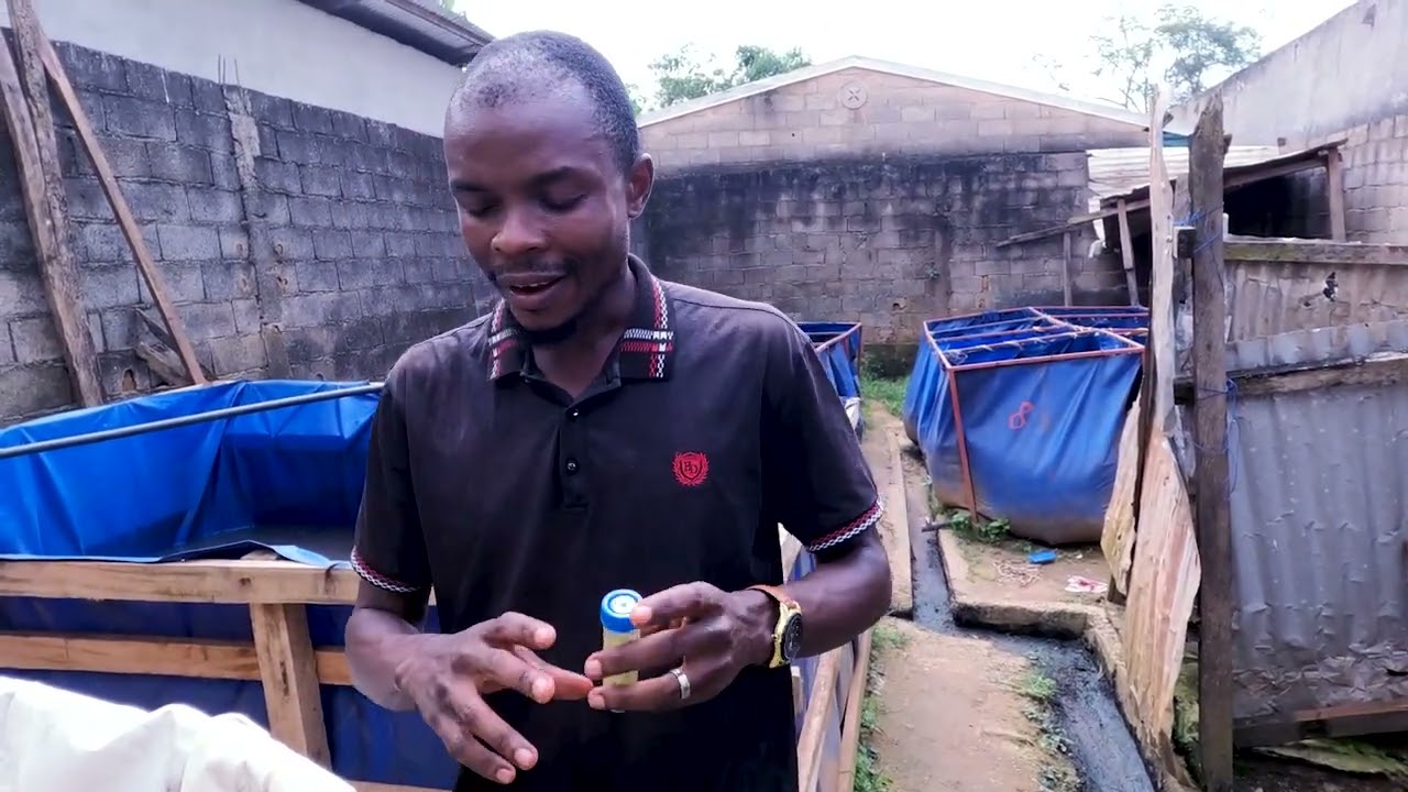 Comment réduire ses mortalités