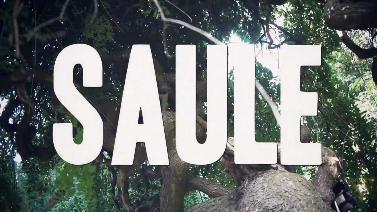 SAULE Teaser DUSTY MEN #BE