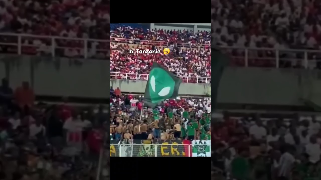 Déplacement in Égypte 😍❤️‍🔥     