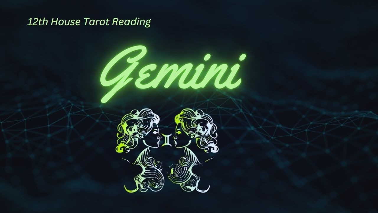 GEMINI Week of Feb 23, 2026  - WOW You are moving and shaking! I can't wait to see where this goes!