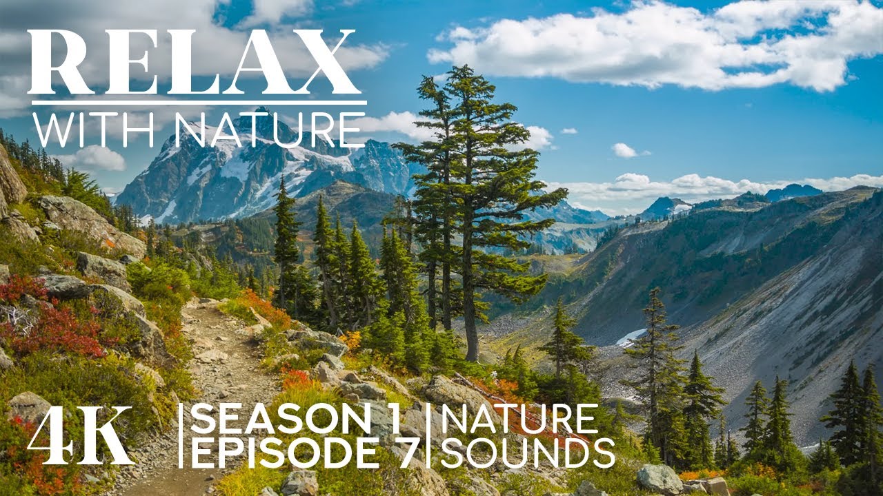 Fascinating 4K Nature Journey Around the World – Ambient Sounds, No Music | Relax with Nature - Ep 7