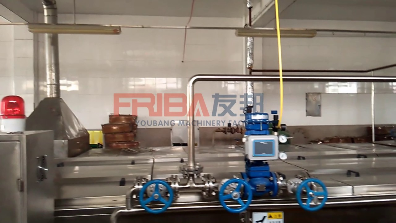 canned mango fruit pasteurization line