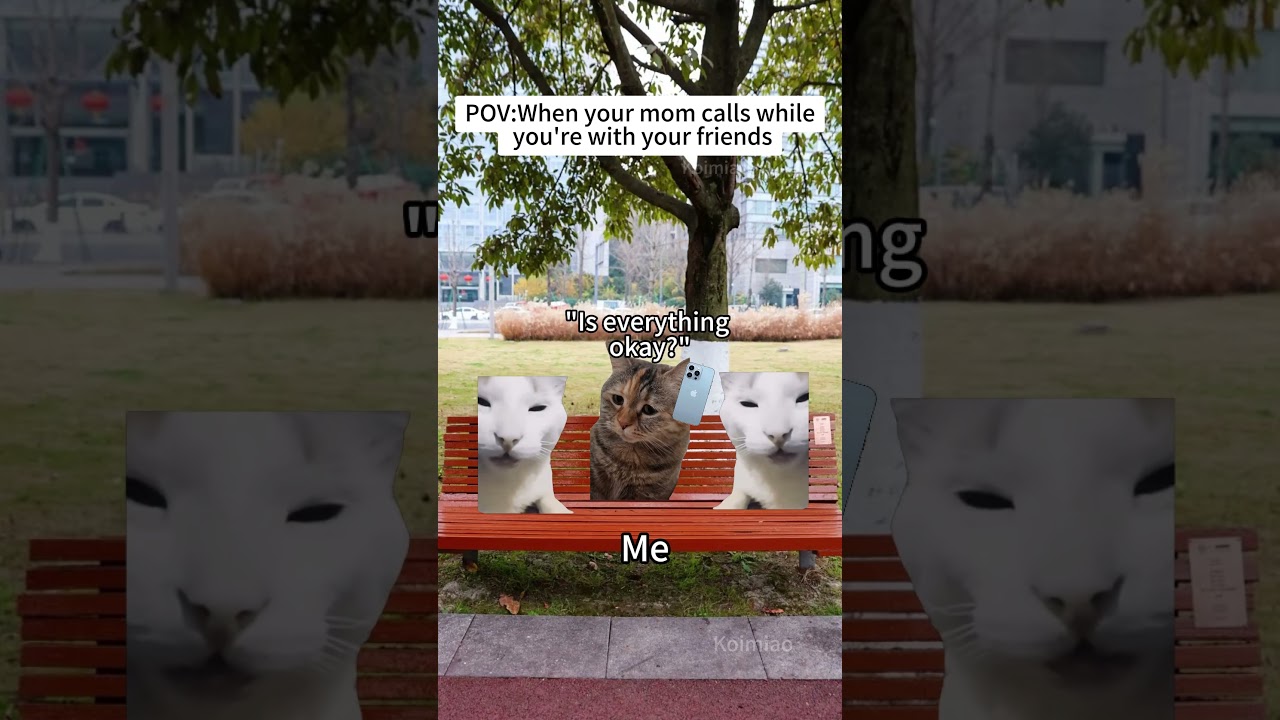 CAT MEMES🐱When your mom calls while you're with your friends#catmemes #memes #funnymemes #funny