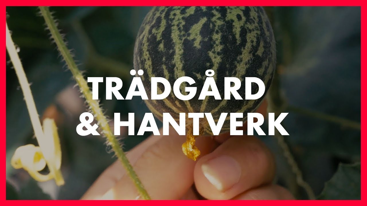 Ekologisk odling | Tr&auml;dg&aring;rd och Hantverk p&aring; V&aring;rdinge Folkh&ouml;gskola