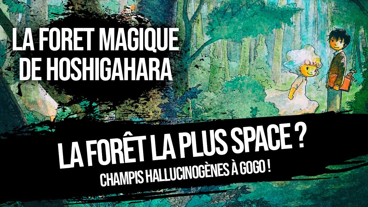 La forêt magique de Hoshigahara - Mangado la voie du manga
