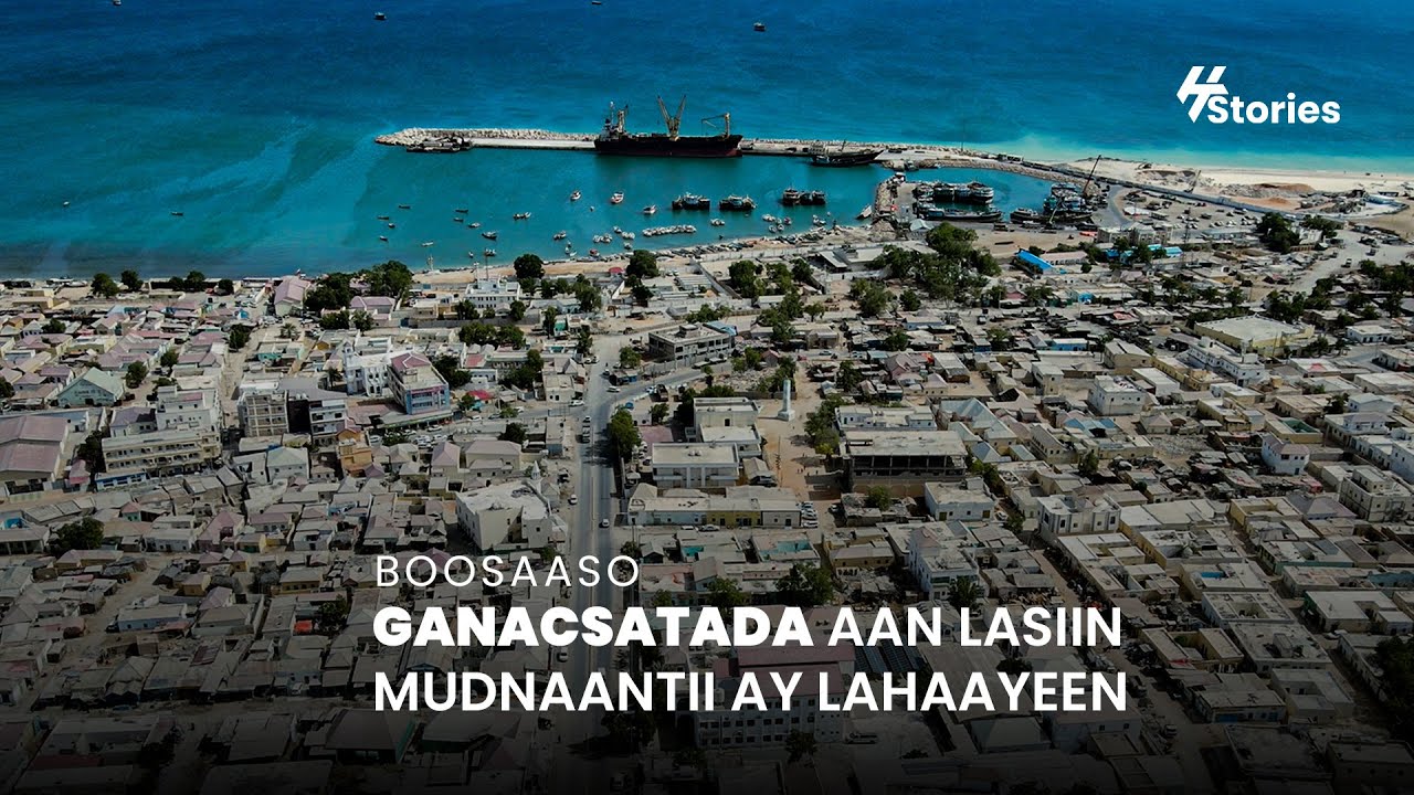 Sheekada Kaluumaysatada Bosaaso oo Garab La'aan La Tacaalaya.