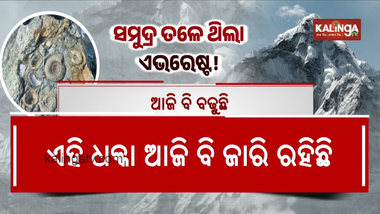 World’s Highest Peak Once Part of Ancient Ocean, Say Fossil Discoveries | Kalinga TV