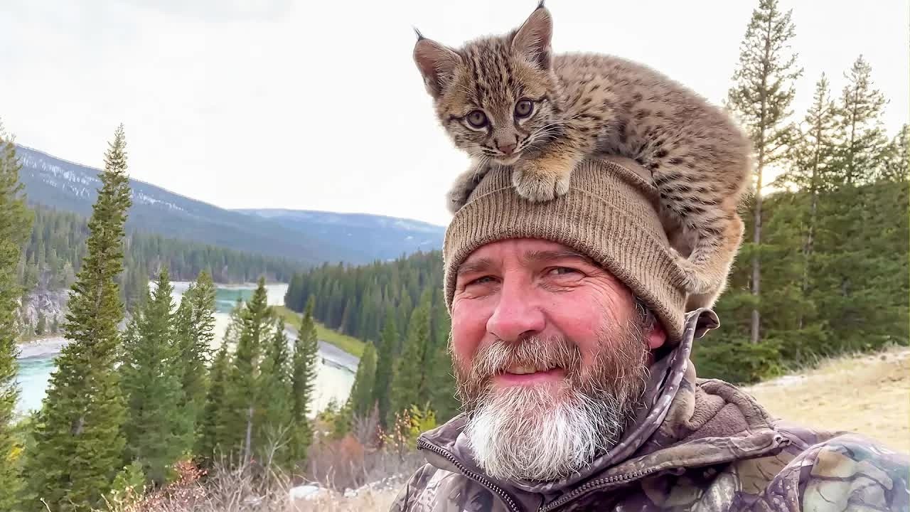 He Was Just Setting Up His Camera—Then the Bobcat Distribution System Chose Him