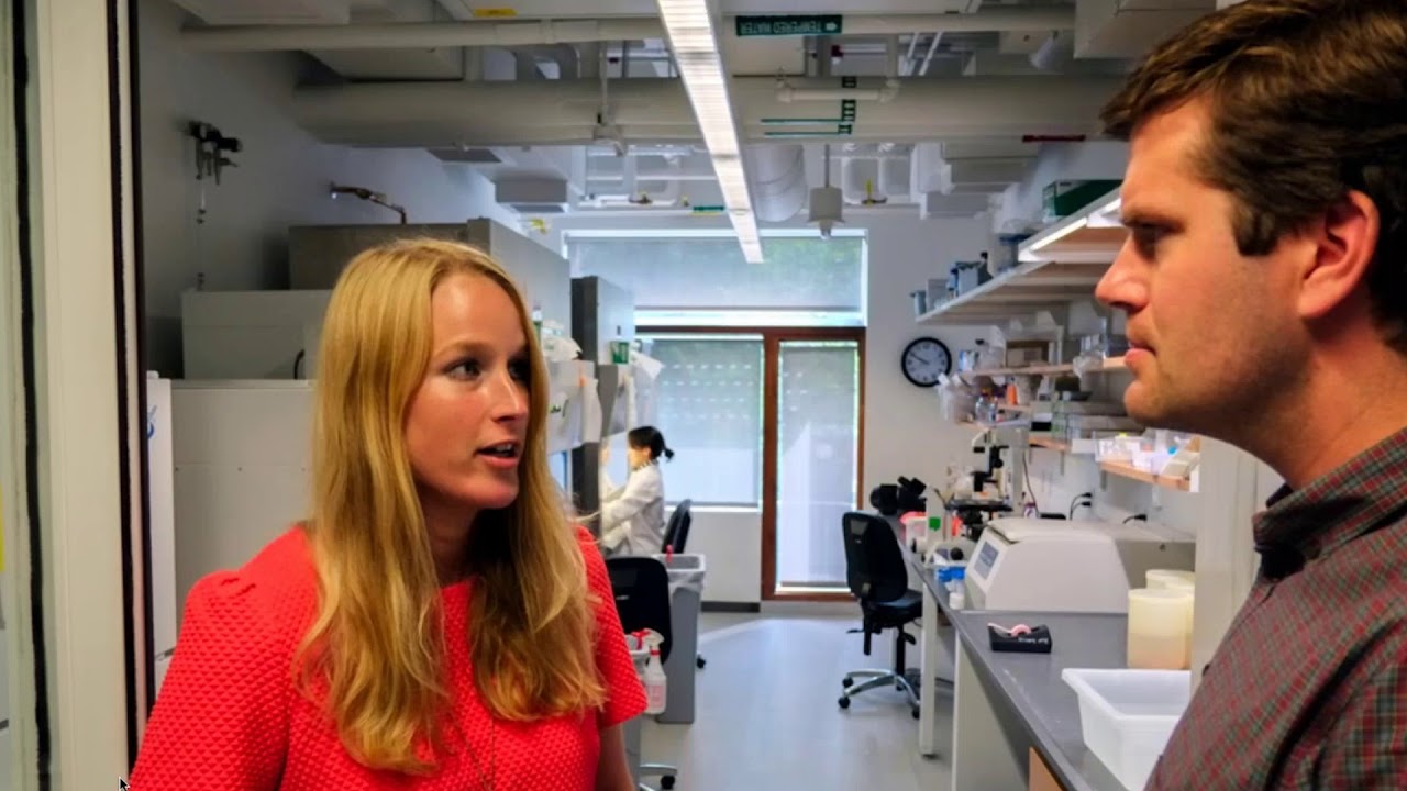 The Use of Human iPSC-derived Motor Neurons for Translational Research