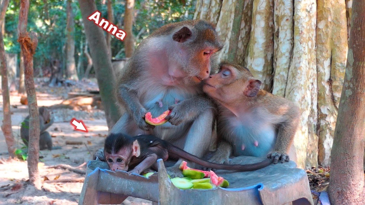 Sweet time..! A sweet gesture to Anna to comfort her and ask for food