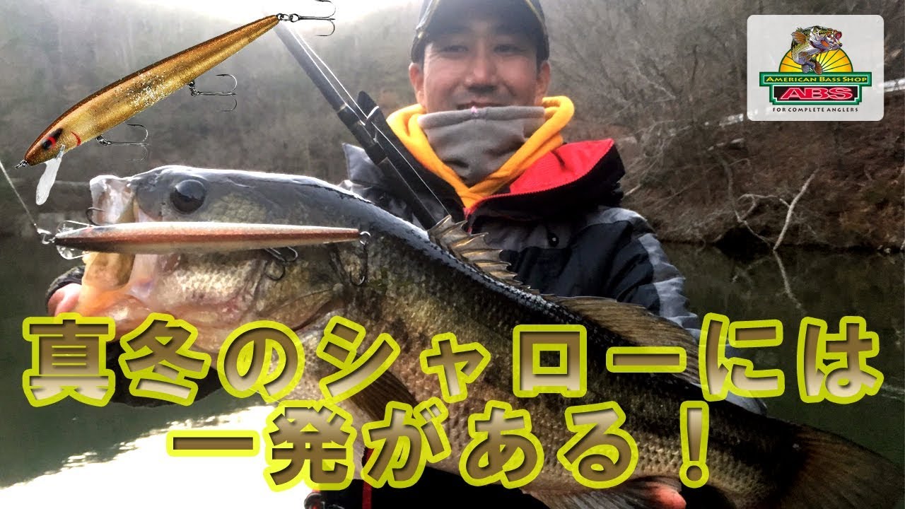 真冬のシャローには一発がある！パーフェクト10ログでドラマ魚　ABSバス釣り動画　Smithwick Perfect 10 Rogue