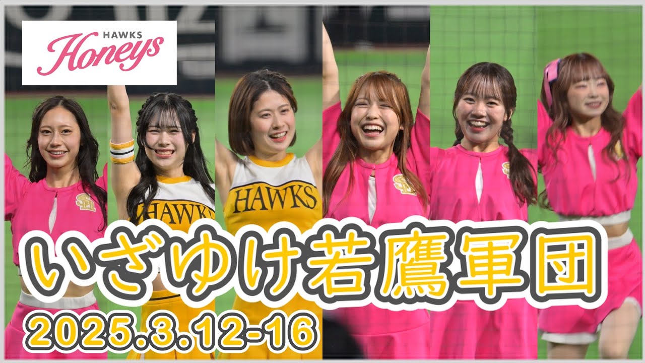 ハニーズ いざゆけ若鷹軍団 2025.3.12-16
