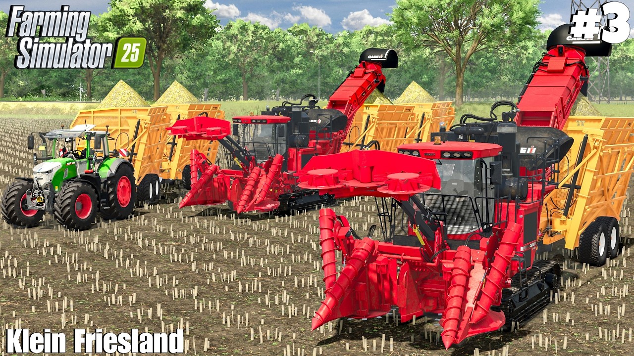 Buying New Equipment & Sugarcane Harvest in Fs25 | KLEIN FRIESLAND | Farming Simulator 25 |
